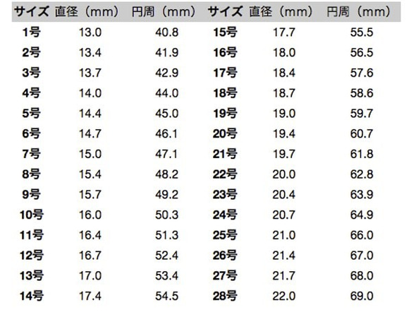 R002（送料無料)シルバー925リング , 925 Silver Ring 10枚目の画像