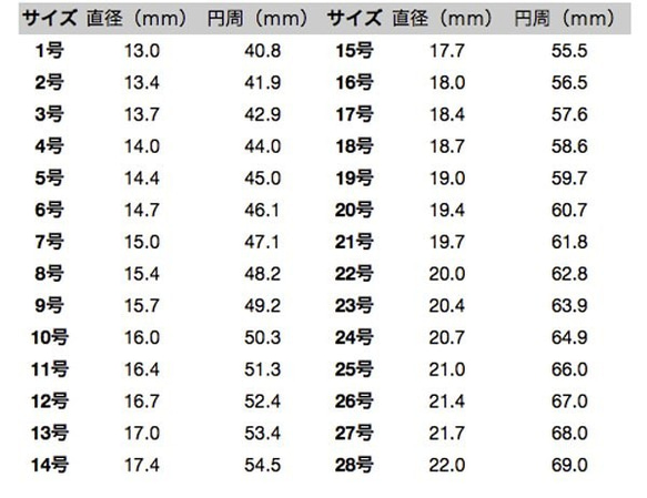 R012（送料無料)シルバー925リング , 925 Silver Ring 10枚目の画像