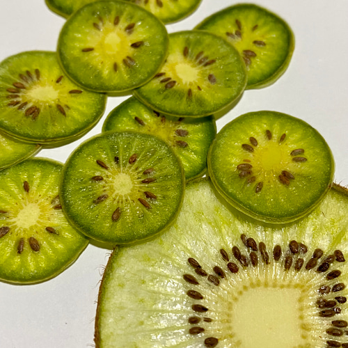 キウイのポニーフック(ミニ)#押しフルーツ#ドライフラワー