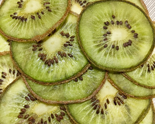 キウイのポニーフック(ミニ)　#押しフルーツ　#ドライフラワー キウイのポニーフック(ミニ) #押しフルーツ #ドライフラワー