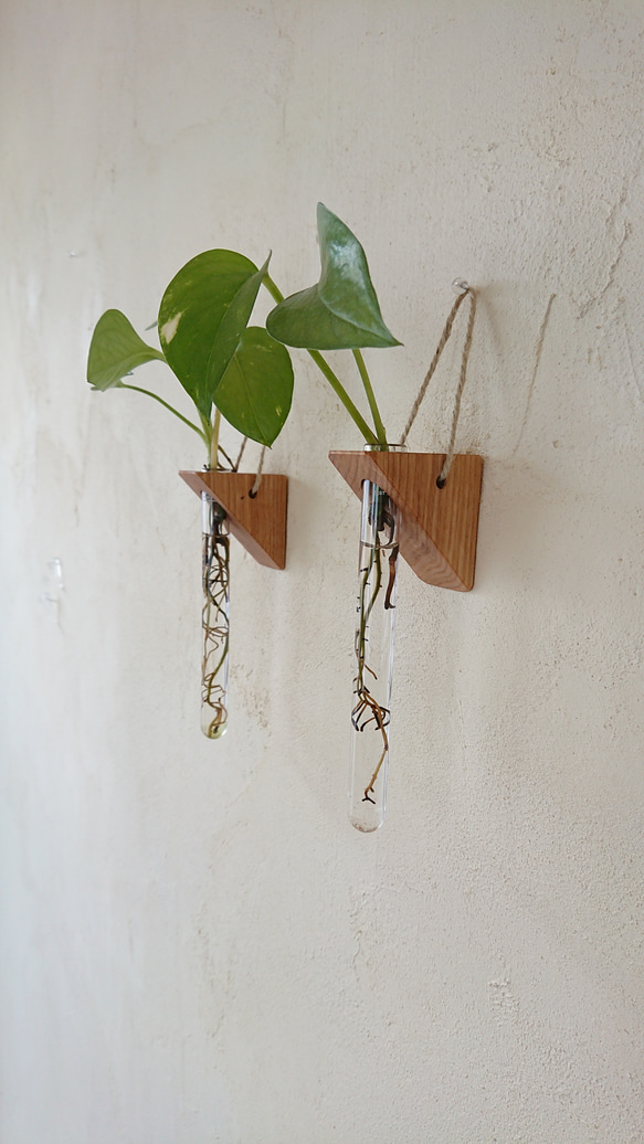 壁掛け一輪挿し 一輪挿し・花瓶・花器 kleiner raum 通販