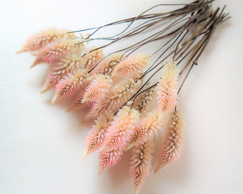 0_6cf56b9db410cbe4bbdab3e1708b