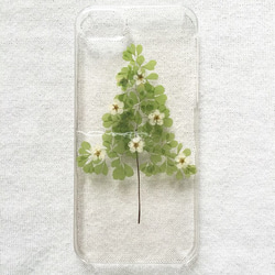 再販　iPhoneケース　花咲く木 1枚目の画像