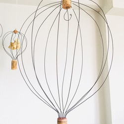 希少》ストレリチア ユンケア ノンリーフ 観葉植物 大型 calm cafe