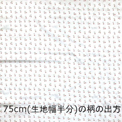 ドイツ CP社 オーガニックコットンカットクロス さくらんぼとネズミ 3枚目の画像