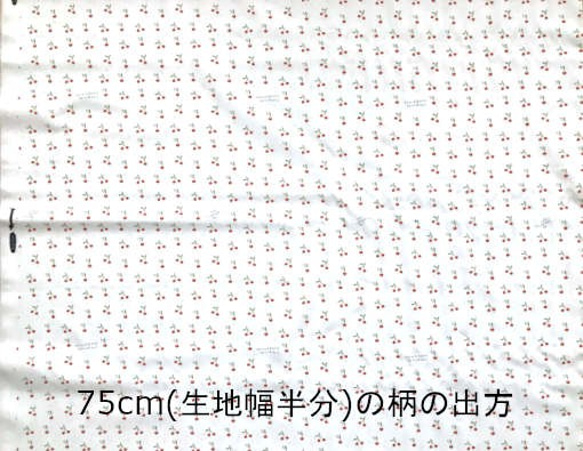 ドイツ CP社 オーガニックコットンカットクロス さくらんぼとネズミ 3枚目の画像