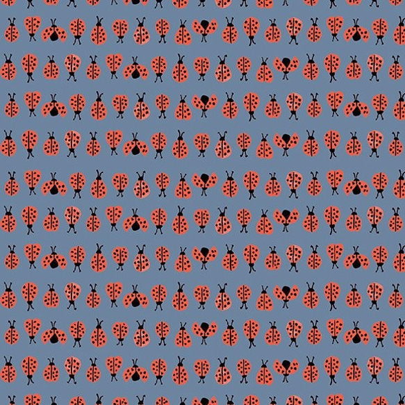 オーガニックコットン生地カットクロス-てんとう虫ブルー 3枚目の画像