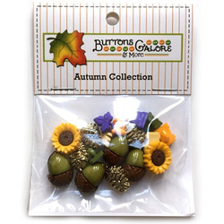 ボタンガローア ボタン18個セット-木の実と葉っぱ 2 3枚目の画像