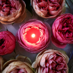 バラ（薔薇）・ローズ キャンドル・キャンドルホルダー のおすすめ人気