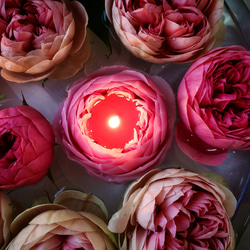 専用　ハンドメイドキャンドルホルダー　キャンドル　薔薇キャンドル 薔薇とミモザのジェルキャンドルホルダー | C'est la vie