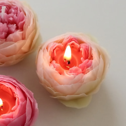 バラ（薔薇）・ローズ キャンドル・キャンドルホルダー の
