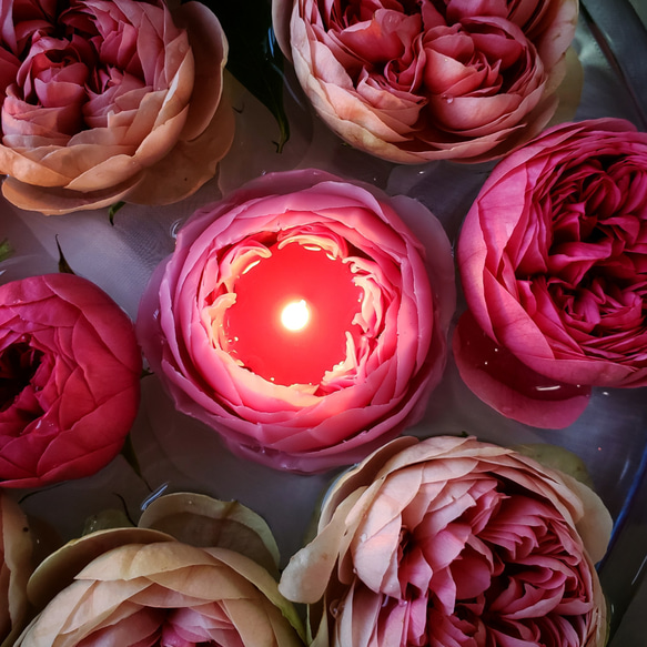 天然の蜜蝋　薔薇のキャンドル『ピンクメイプルローズ』 5枚目の画像