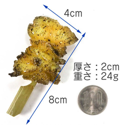  第10張的照片