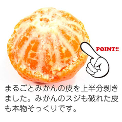  第5張的照片
