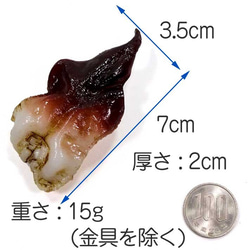  第10張的照片