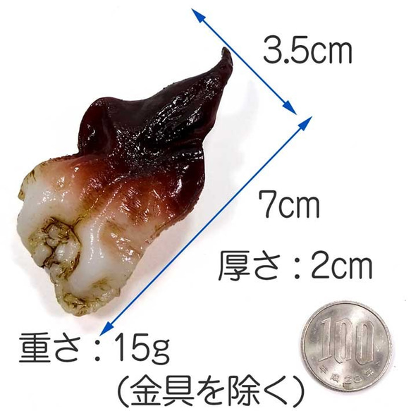  第10張的照片