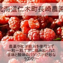 ミニサイズタルト！北海道産無農薬ラズベリーチーズタルト☆お誕生日のギフトにも☆珈琲、紅茶はもちろんお酒にも良く合います！ 3枚目の画像