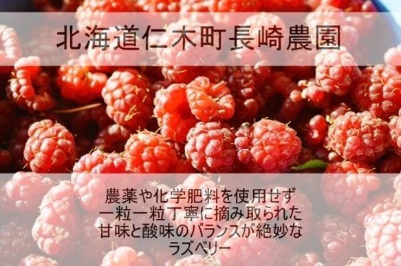 ミニサイズタルト！北海道産無農薬ラズベリーチーズタルト☆お誕生日のギフトにも☆珈琲、紅茶はもちろんお酒にも良く合います！ 3枚目の画像