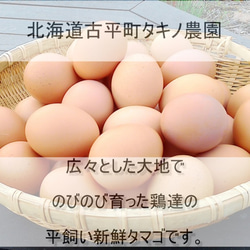 北海道産無農薬ラズベリーチーズタルト☆お誕生日のギフトにも☆珈琲、紅茶はもちろんお酒にも良く合います！ 4枚目の画像