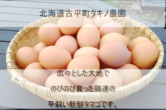 北海道産無農薬ハスカップチーズタルト☆お誕生日のギフトにも☆珈琲、紅茶はもちろんお酒にも良く合います！ 4枚目の画像