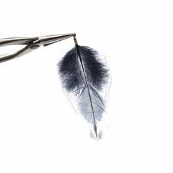 BSC-033-G【5個入り】フェザーチャーム,Navy Feather Charm/30mm x 70mm 3枚目の画像