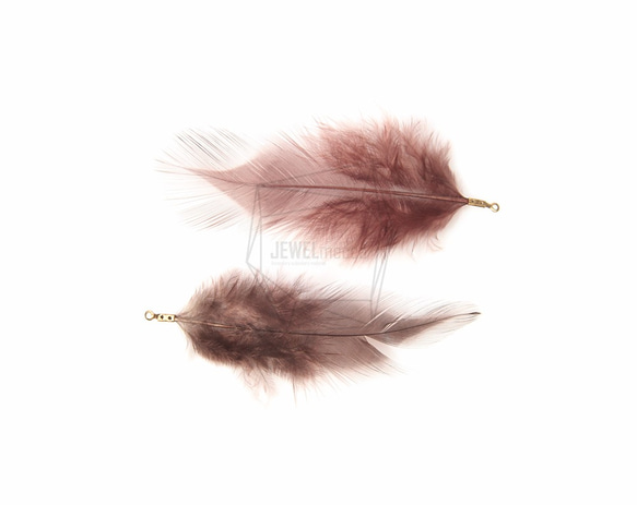 BSC-034-G【5個入り】フェザーチャーム,Brown Feather Charm/30mm x 70mm 5枚目の画像