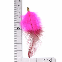 BSC-054-G【5個入り】フェザーチャーム,Pink Feather Charm/30mm x 70mm 5枚目の画像