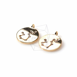 PDT-1003-G【2個入り】星座/水瓶座（ミズガメ座）,Constellation(Aquarius)Pendant 2枚目の画像