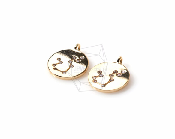 PDT-1003-G【2個入り】星座/水瓶座（ミズガメ座）,Constellation(Aquarius)Pendant 2枚目の画像