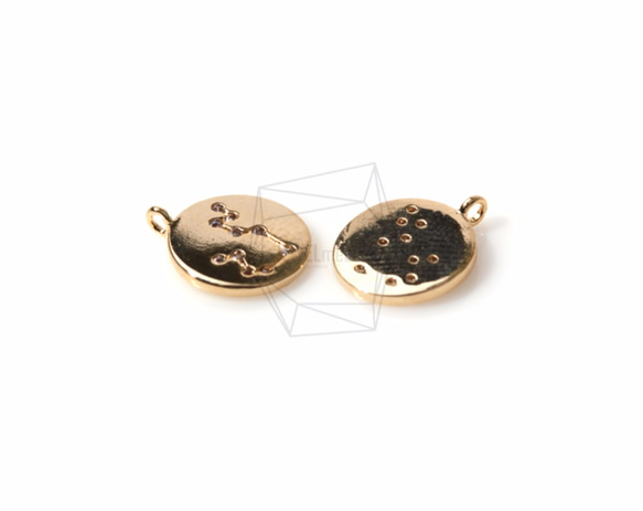 PDT-1003-G【2個入り】星座/水瓶座（ミズガメ座）,Constellation(Aquarius)Pendant 3枚目の画像