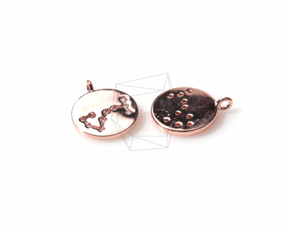 PDT-1012-P【2個入り】星座/蠍座（サソリ座）,Constellation(Scorpio)Pendant 3枚目の画像