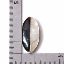 PEA-019-G【2件】橢圓形螺絲珠，珍珠貝貝珠 第5張的照片
