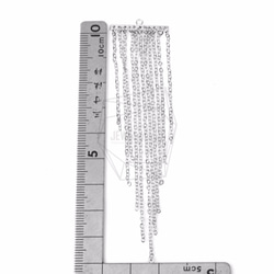 ERG-554-R [2件]鍊子流蘇飾物/ 25mm X 77mm 第5張的照片