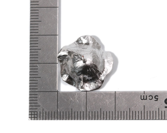 ERG-837-MR【2件】花耳環，花耳環柱/ 19毫米X 20毫米 第5張的照片