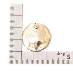ERG-1006-MG [2件] Hammered圓形耳環 第5張的照片