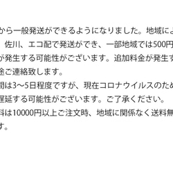 4月3日から一般発送ができるようになりました。 1枚目の画像