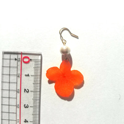 正品壓花耳環“橙色繡球花” 第2張的照片