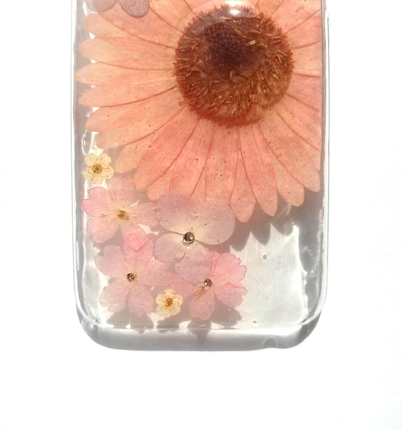 iPhone6plus、6Splus 專用保護殼“Pink Gerbera ⑥” 第3張的照片