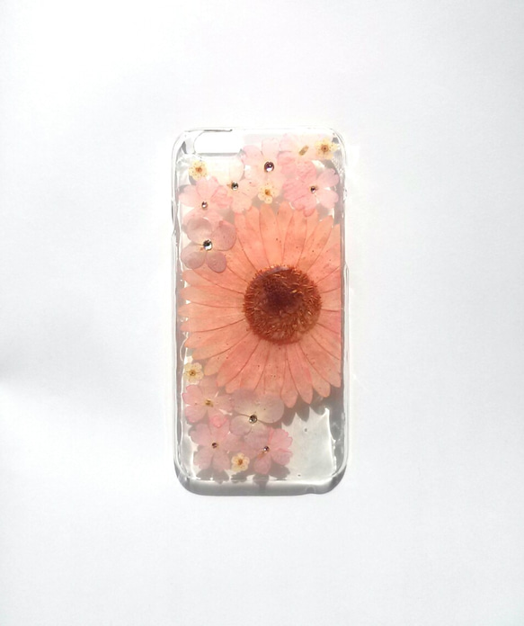 iPhone6plus、6Splus 專用保護殼“Pink Gerbera ⑥” 第4張的照片