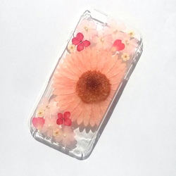 iPhoneSE，5,5S 手機殼“粉色非洲菊⑤” 第1張的照片