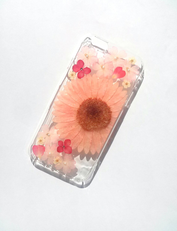 iPhoneSE，5,5S 手機殼“粉色非洲菊⑤” 第1張的照片