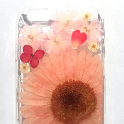 iPhoneSE，5,5S 手機殼“粉色非洲菊⑤” 第2張的照片