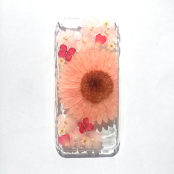 iPhoneSE，5,5S 手機殼“粉色非洲菊⑤” 第4張的照片