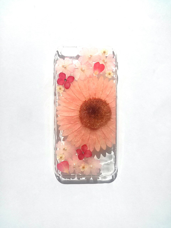 iPhoneSE，5,5S 手機殼“粉色非洲菊⑤” 第4張的照片