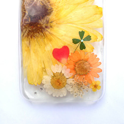 再販☆iPhone６、６Ｓ 専用ケース『黄色いガーベラ』 3枚目の画像