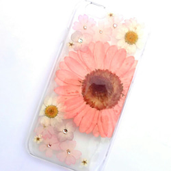 iPhoneSE，5,5S 手機殼“粉色非洲菊③” 第1張的照片