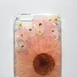 iPhone 6,6S 手機殼“粉色非洲菊⑥” 第2張的照片