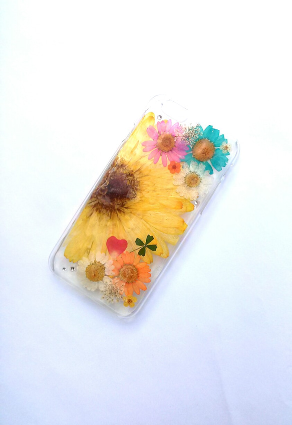 iPhone6Plus、6SPlus 專用保護殼“黃色非洲菊” 第1張的照片