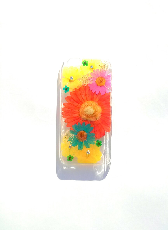 iPhoneSE，5,5S case，“橙色非洲菊” 第4張的照片