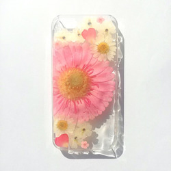 iPhone6plus、6Splus、7plus 專屬保護殼“粉色非洲菊” 第4張的照片